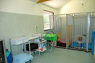 Centro di fisioterapia veterinaria Villa Beria