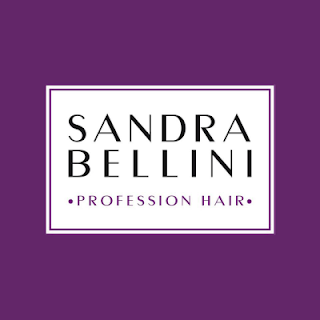 Sandra Bellini Profession Hair