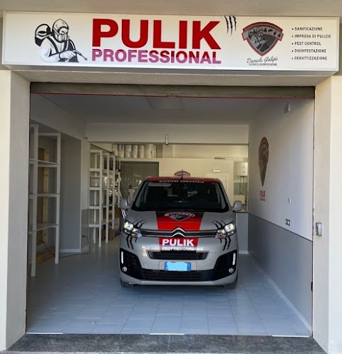 Pulik Professional