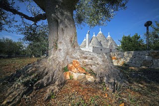 Trulli Foggia dell'Albero