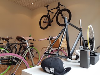 Cyclestore Piacenza