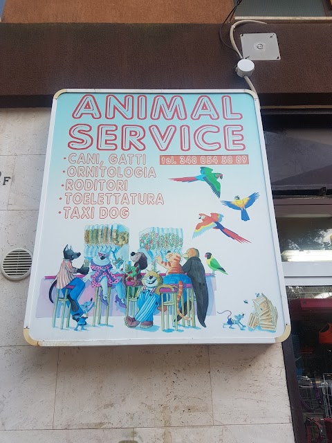 Animal Service Di Teresa Falcone