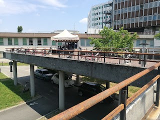 Ospedale Maggiore : Pad.9 - Centro Senologico/Ambulatori Oculistica