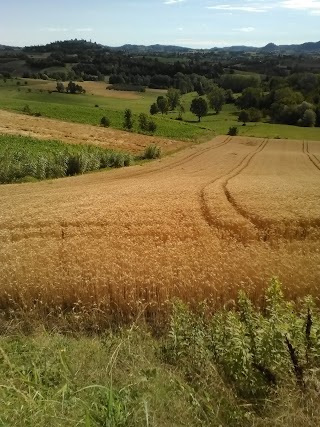 Alimentari di Falcone Cinzia