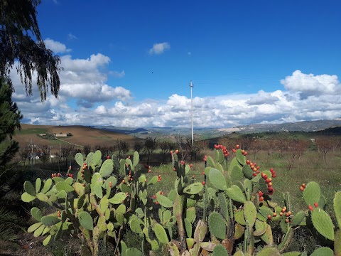 Autogrill Sacchitello Nord