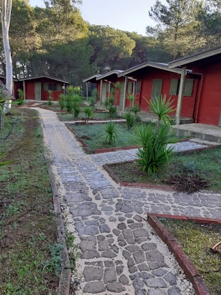 Natural Park Villaggio Camping Falanto