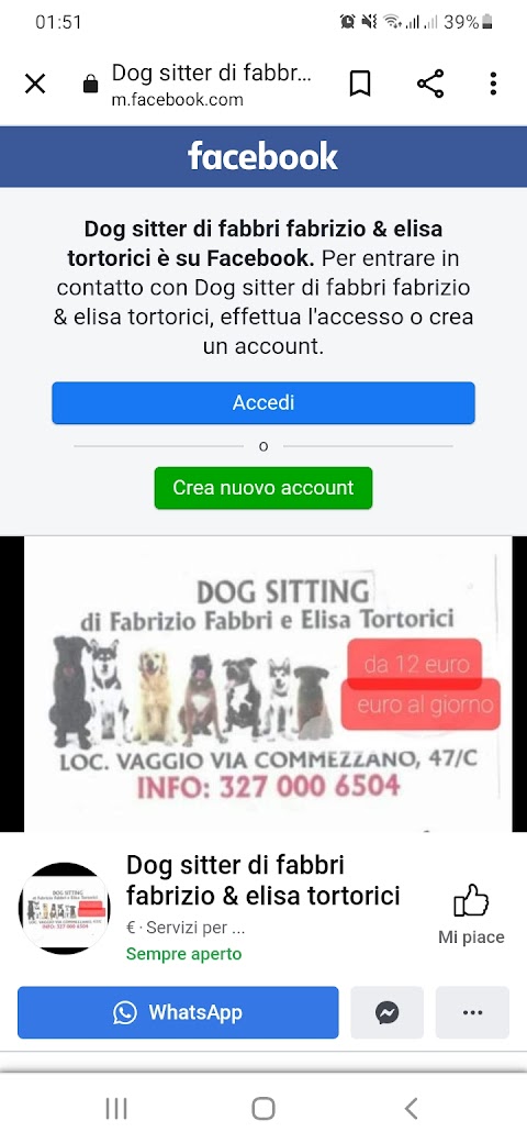 Dog sitting fabrizio fabbri