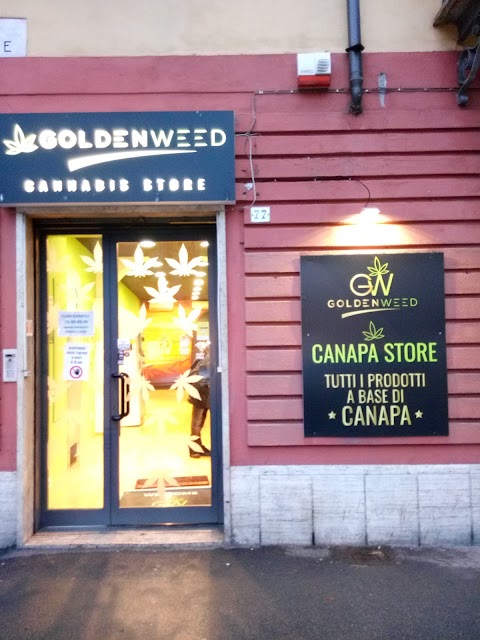 Goldenweed