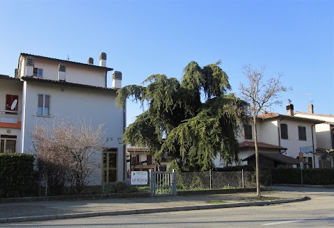 Affiliato Tecnocasa Sforza Immobiliare S.R.L.