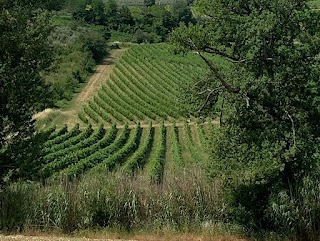 Tuscany Bike Tours