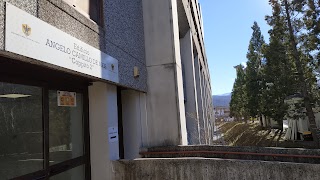 Dipartimento DISCAB - Università degli Studi dell'Aquila