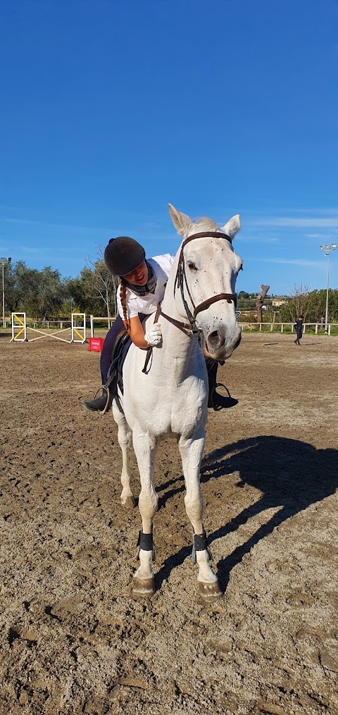 Centro Ippico Montenuovo - Scuola equitazione - Passeggiata a cavallo - CIM