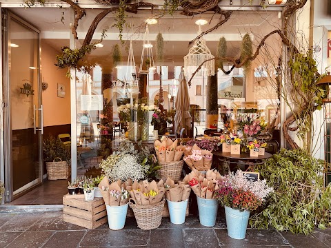 Frida's Rovigo | Italian Flower Stores