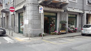 Fiori e Stili