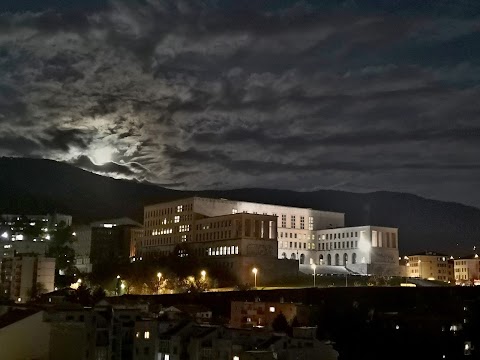 Università degli Studi di Trieste