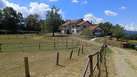 La Fattoria nel bosco