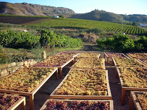 Azienda Agricola Ferreri & Bianco