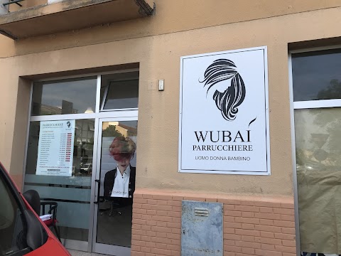 WUBAI HAIRDRESSER