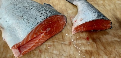 Pescheria Acquarius Pesce fresco e pescato di qualità Gastronomia di Pesce a Ragusa