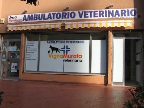Ambulatorio Veterinario Eur Vigna Murata
