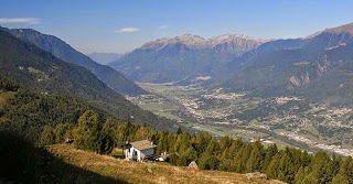 Azienda agricola Terra di Mezzo