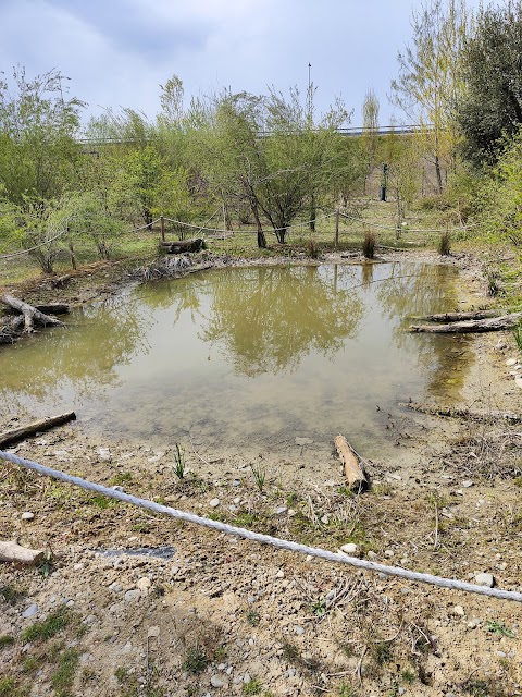 Oasi Naturalistica della Martesana