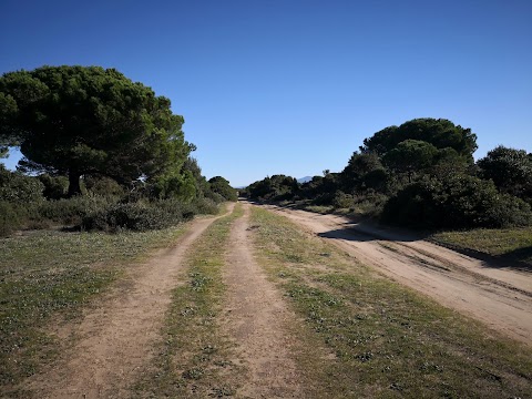 Park Adventure Bosco Isola