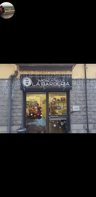 La Barberia Moscatelli