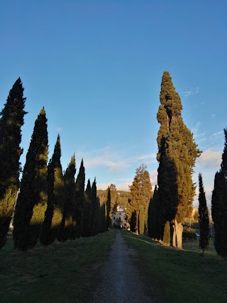 Scuola Primaria "G. Carducci" - Comune di Certaldo