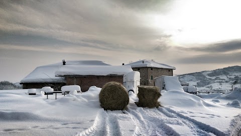 Freedom Ranch