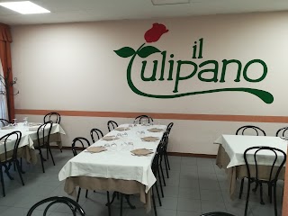 Ristorante Pizzeria Il Tulipano