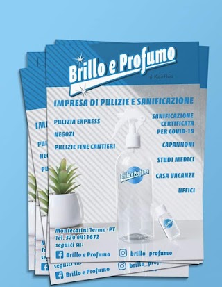 Brillo e Profumo Impresa di Pulizie e Sanificazione