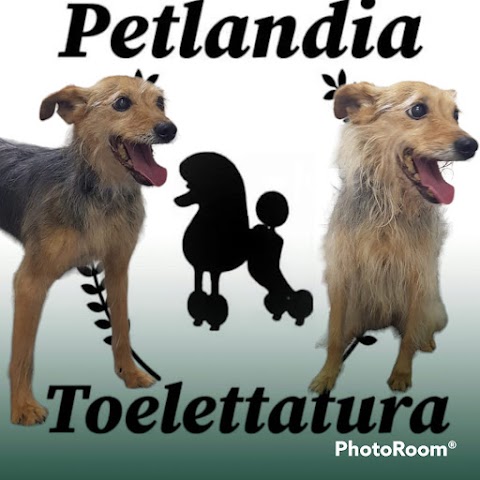 Petlandia Toelettatura