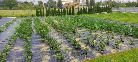 Floriade SNC