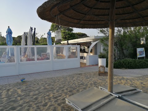 Beach Bar