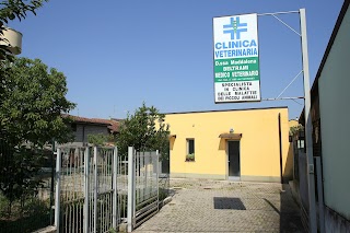 Ambulatorio Veterinario Dottoressa Maddalena Beltrami