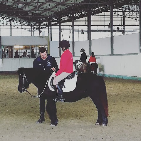 Centro Equestre - Il Primo Cavaliere