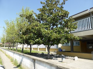 Scuola secondaria di 1° grado "Luigi Russo" - Istituto Paolo Borsellino
