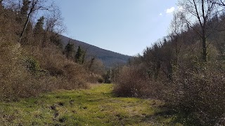 Lago Di Carraia