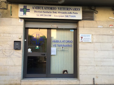 Ambulatorio Veterinario Della Porta Di Della Porta Dott.Ssa Alessandra