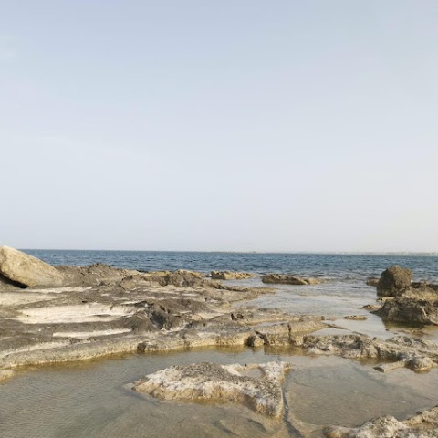 Siracusa Tour Experience - Siracusa guida naturalistica