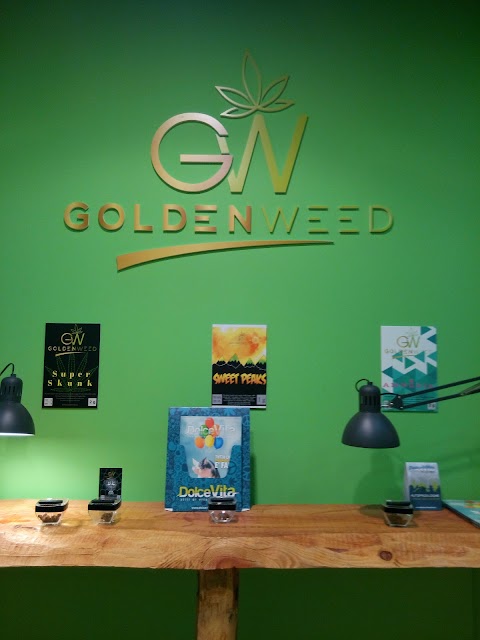 Goldenweed