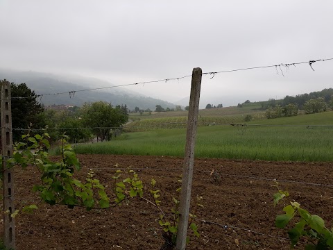 Agriturismo Ronco delle Rose