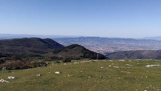 Monte Maggiore