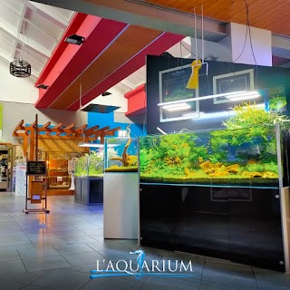 L'Aquarium Di Faberi Massimo