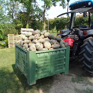 Azienda Agricola Lorenzin