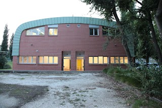 Scuola di Ballo "Salsaviva ASD" Cremona