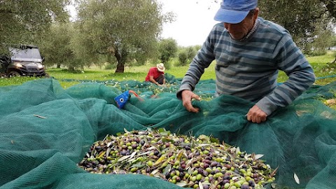 Feudo Muxarello | Agriturismo near Agrigento | Valley of the Temples