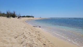 Isola dei conigli