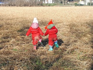 Agrinido Piccoli Frutti